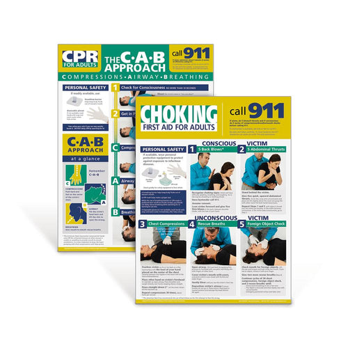 Adult CPR and Choking Poster Set