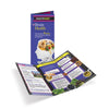 Brain Health Tri-fold Brochures