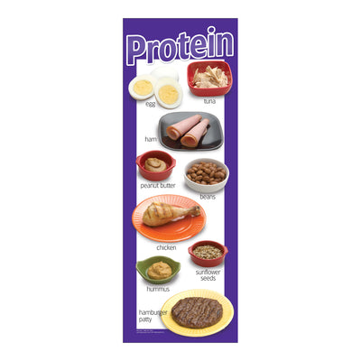 Food Groups Poster Set