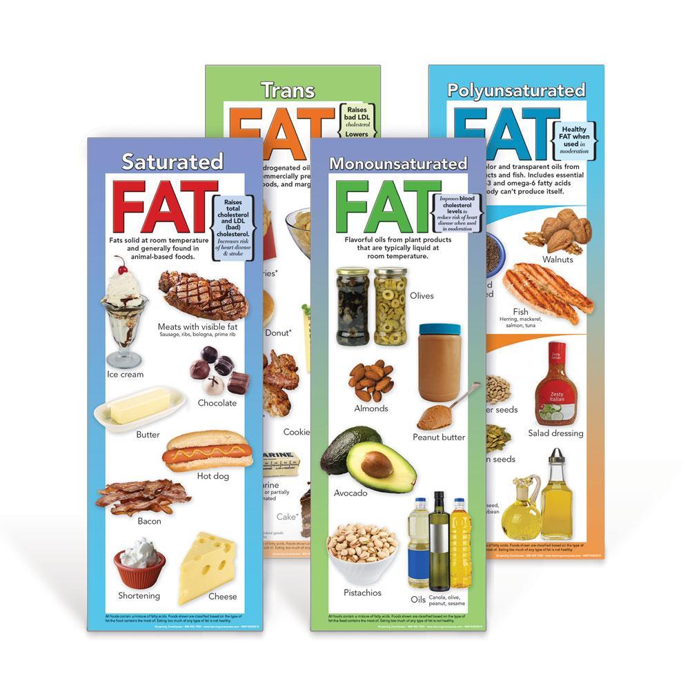 You R Fat Poster Types of Fat Poster Set | Visualz