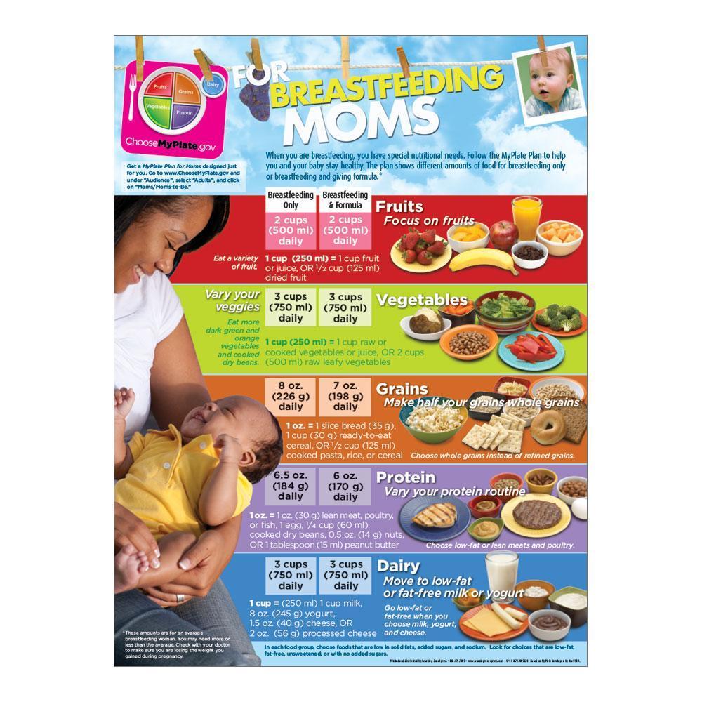 MyPlate for Breastfeeding Moms Poster