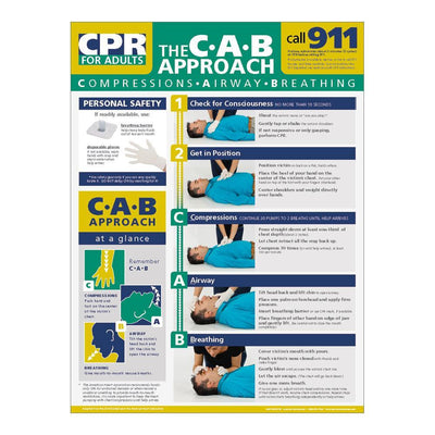 Adult CPR Poster