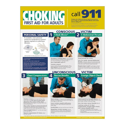 Adult CPR and Choking Poster Set