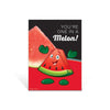 Watermelon Garden Hero Poster
