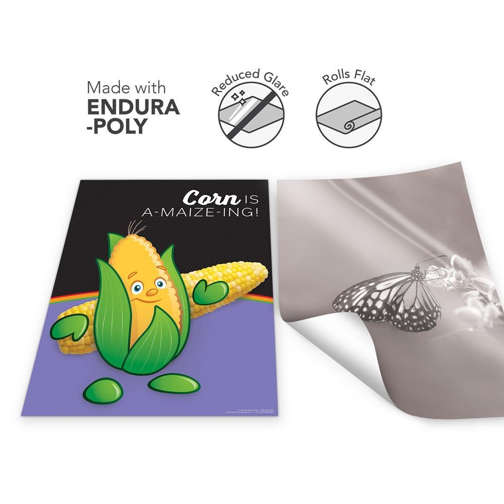 Vegetable Garden Heroes® Endura-Poly Poster Set