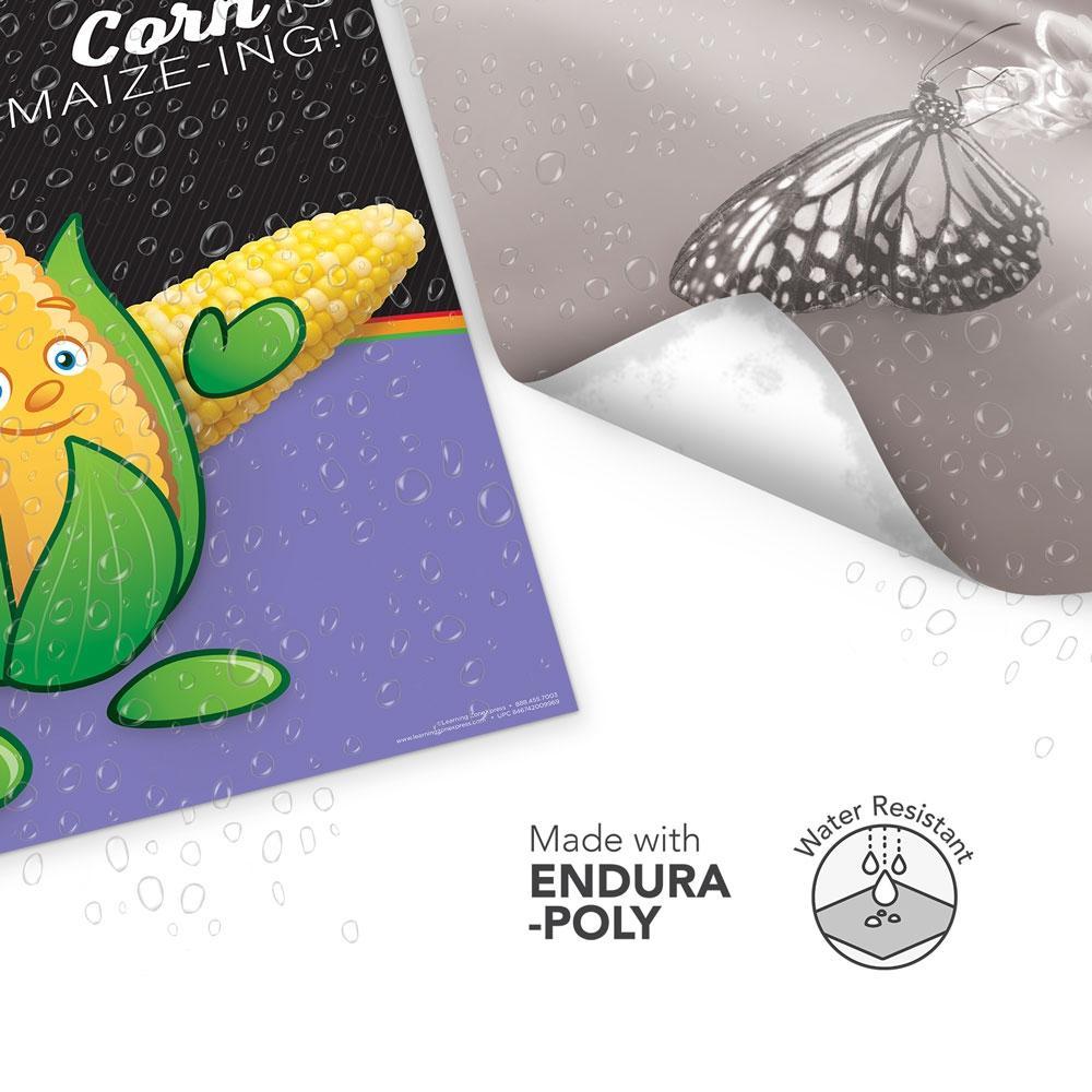 Vegetable Garden Heroes® Endura-Poly Poster Set