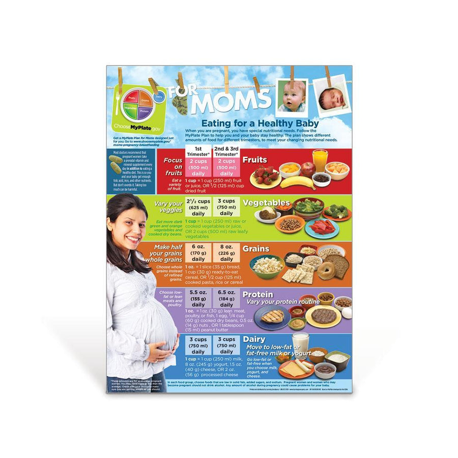 MyPlate for Expecting Moms Poster