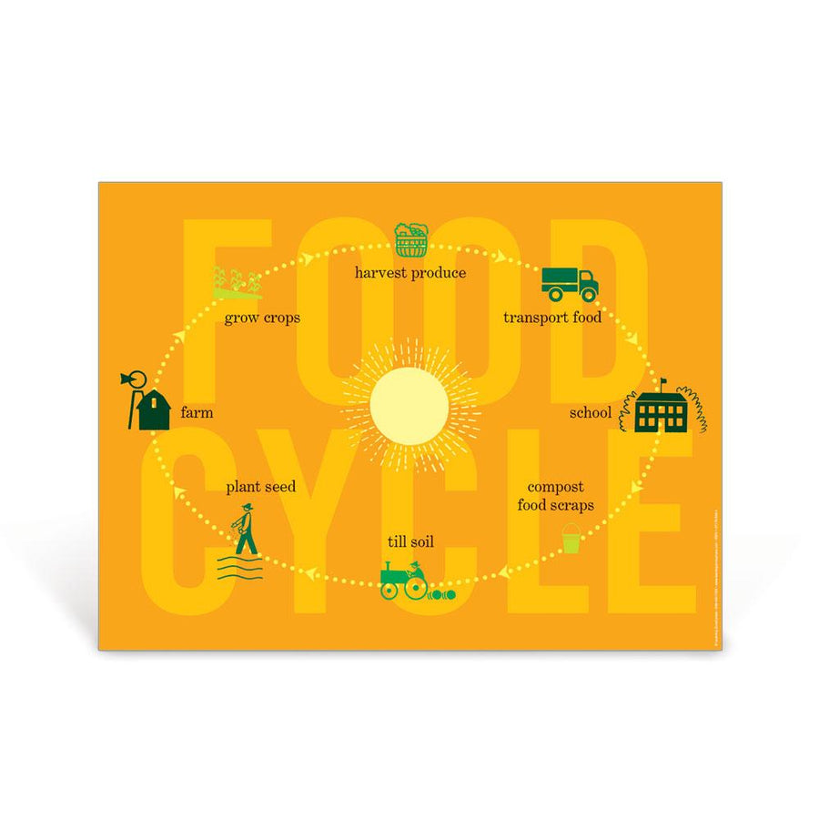 Food Cycle Poster