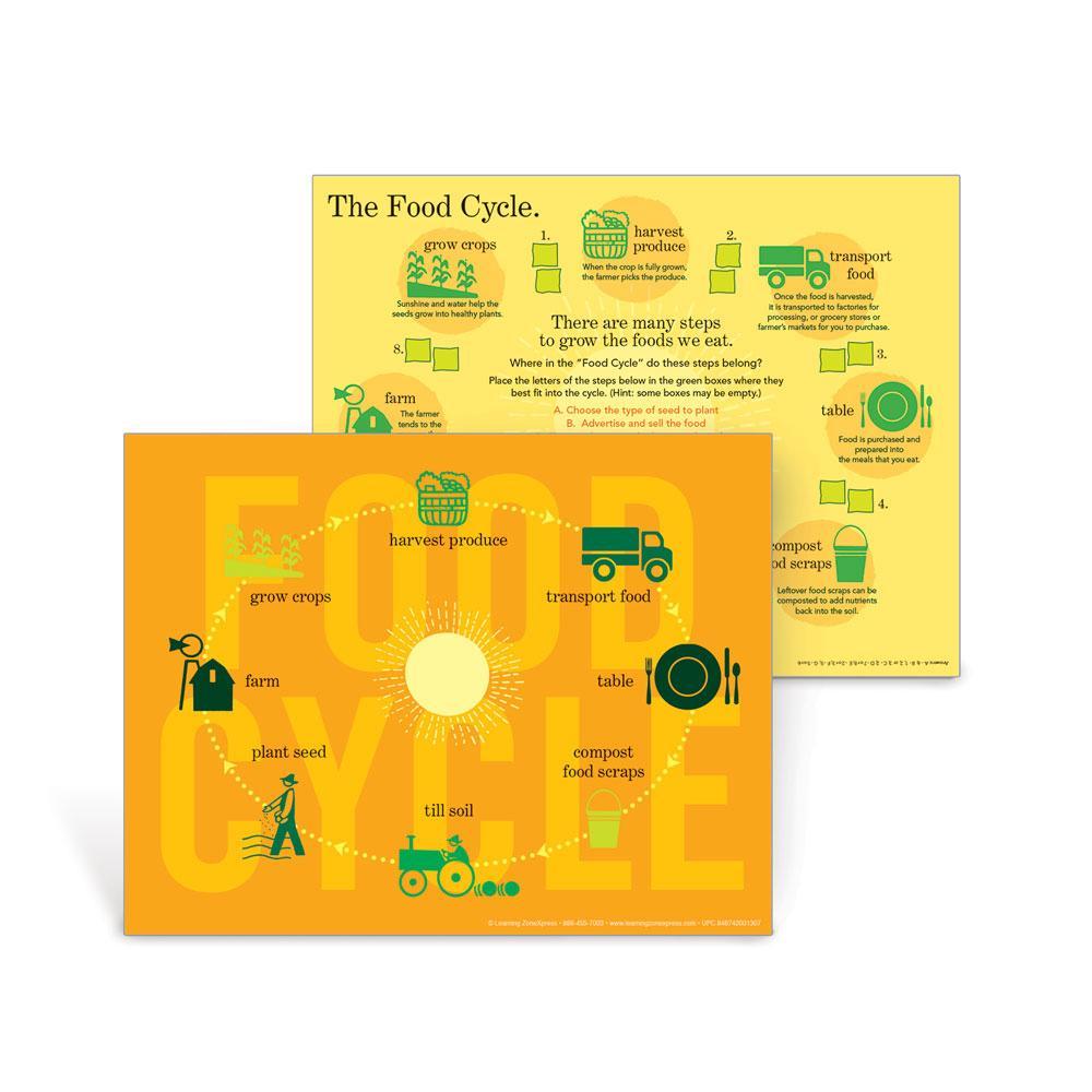 Visualz Handouts Food Cycle Handouts | Nutrition Handout | Visualz