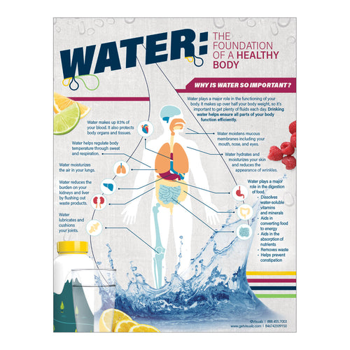 Water: The Foundation of a Healthy Body Poster