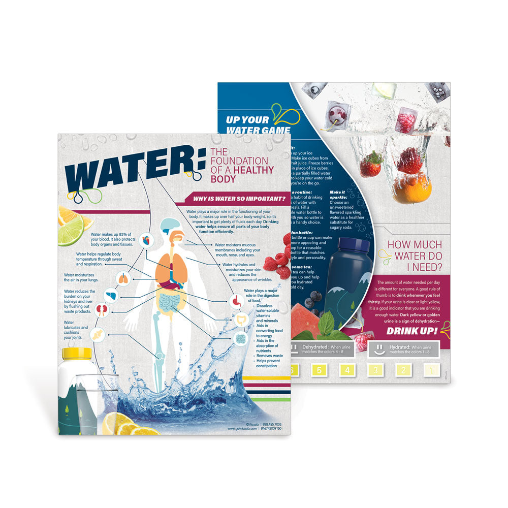 Visualz Handouts Water: The Foundation of a Healthy Body Handouts - Visualz