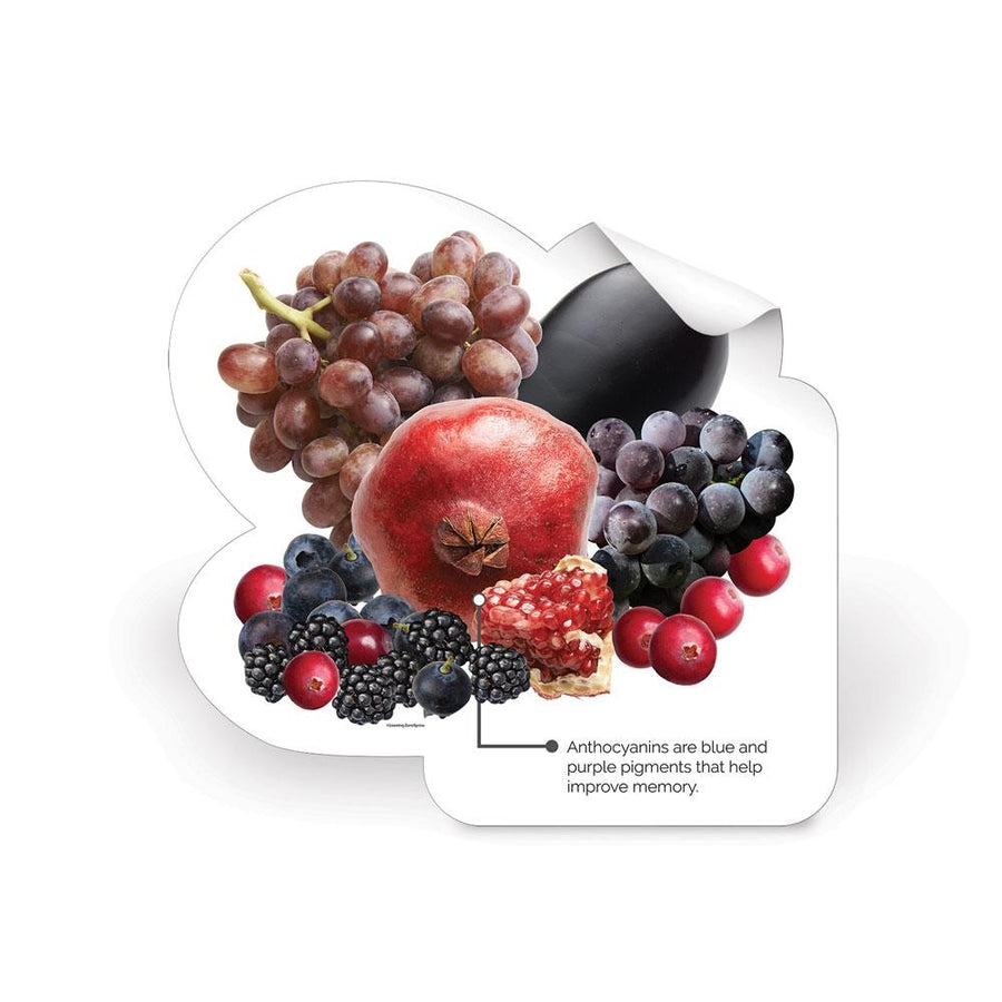 Blue/Purple Fruit and Veggie Color Die-Cut Decal