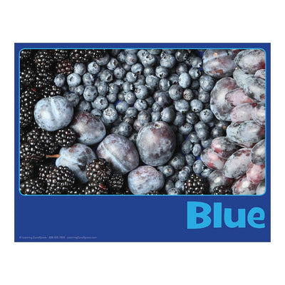 Blue Mini English Color Card