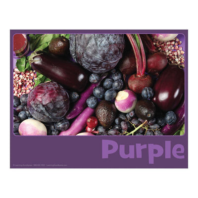 Purple Mini English Color Card
