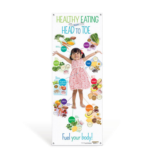Preschool Healthy Eating from Head to Toe Banner