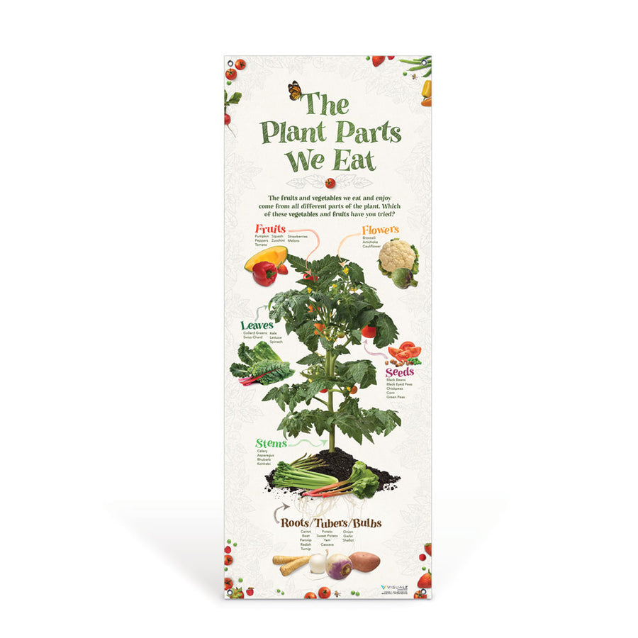 The Plant Parts We Eat Vinyl Banner