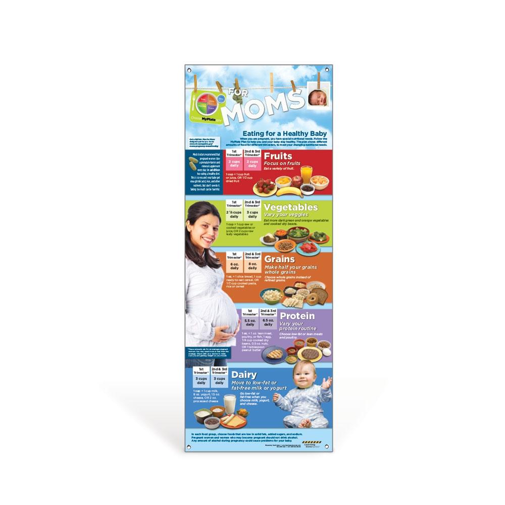 MyPlate for Expecting Moms Vinyl Banner