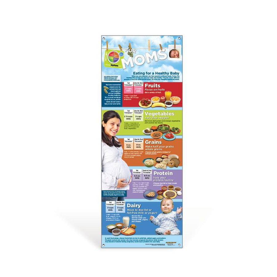 MyPlate for Expecting Moms Vinyl Banner