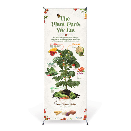 The Plant Parts We Eat Vinyl Banner with Stand