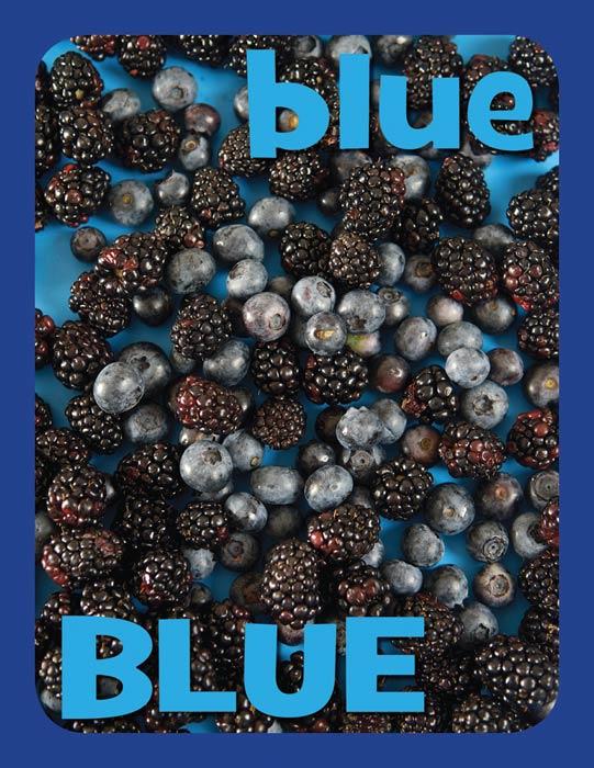 Mini Color Posters - Blue