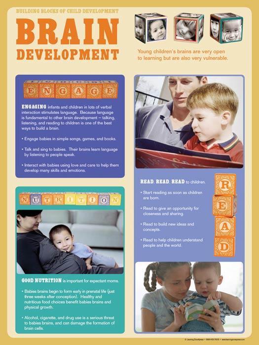 Child Development Poster Set of 6