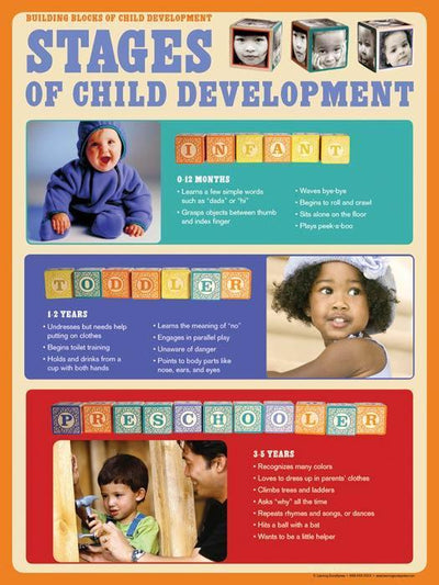Child Development Poster Set of 6